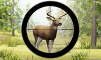 Contract Deer Hunter